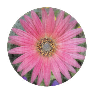 Rosa Gerbera Daisy Clearing Board