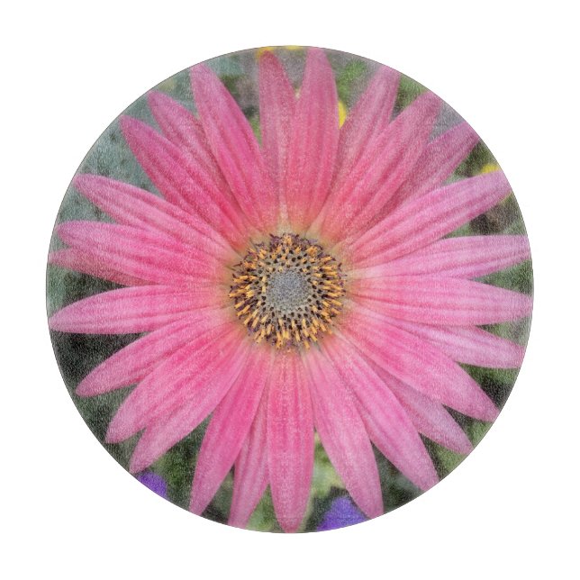 Rosa Gerbera Daisy Clearing Board (Framsidan)