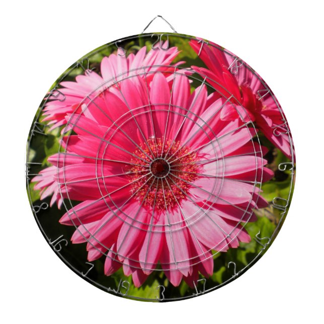Rosa Gerbera Daisy Dartboard Piltavla (Framsidan)