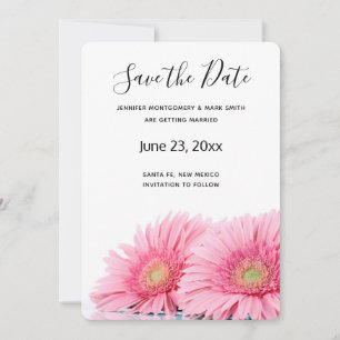 Rosa Gerbera Daisy Elegant Fotography Spara Datumet