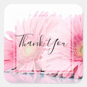 Rosa Gerbera Daisy Elegant Photo Tack Fyrkantigt Klistermärke