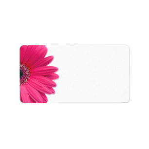 Rosa Gerbera Daisy Flower Bröllop Blank Adress Adressetikett