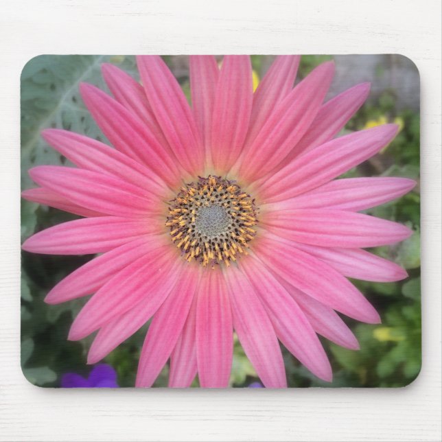 Rosa Gerbera Daisy Flowers Mousepad Musmatta (Framsidan)