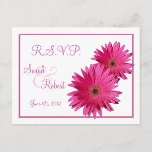 Rosa Gerbera Daisy Flowers OSA Postcard Inbjudan Vykort