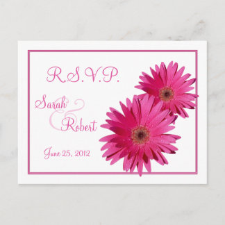 Rosa Gerbera Daisy Flowers OSA Postcard Inbjudan Vykort