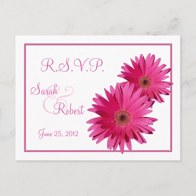 Rosa Gerbera Daisy Flowers OSA Postcard Inbjudan Vykort (Framsida)