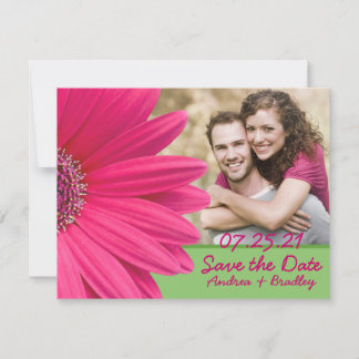 Rosa Gerbera Daisy Grönt Photo Bröllop Spara Datumet