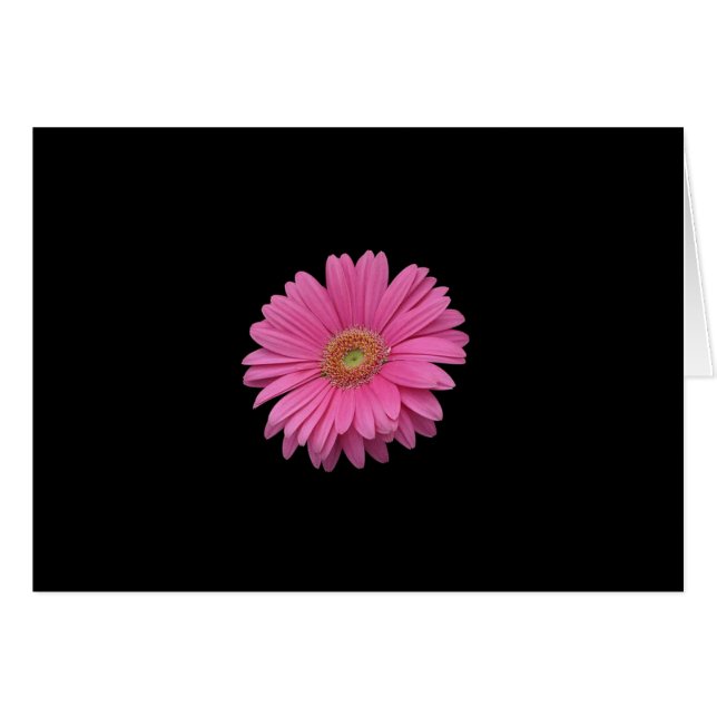 Rosa Gerbera Daisy Hälsningskort (Framsidan Horizontal)