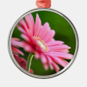 Rosa Gerbera Daisy Julgransprydnad Metall