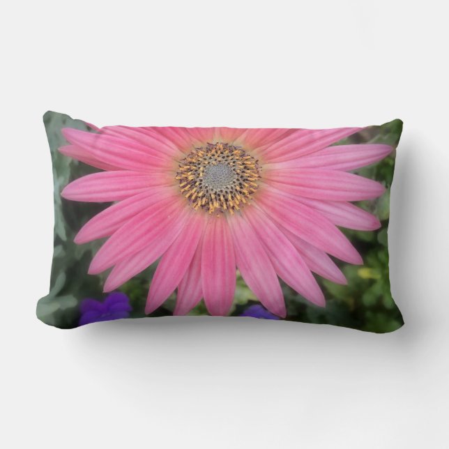 Rosa Gerbera Daisy Lumbar Pillow Lumbarkudde (Framsida)