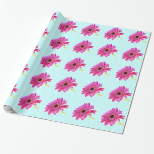 Rosa Gerbera Daisy om blå bakgrund Presentpapper