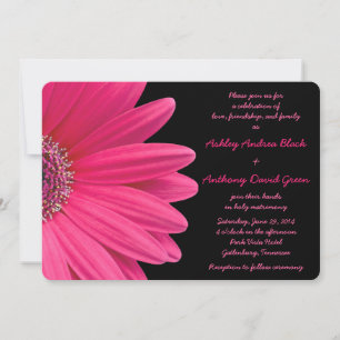 Rosa Gerbera Daisy om inbjudan till svartbröllop