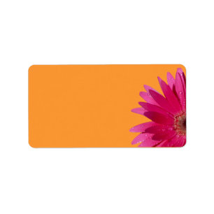 Rosa Gerbera Daisy Orange Bröllop Blank Adress Adressetikett