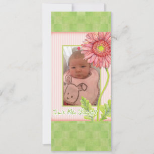 Rosa Gerbera Daisy Photo Birth Notice Meddelande