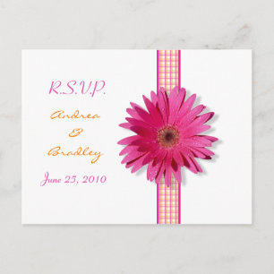 Rosa Gerbera Daisy Play Ribbon OSA Postcard Inbjudan Vykort