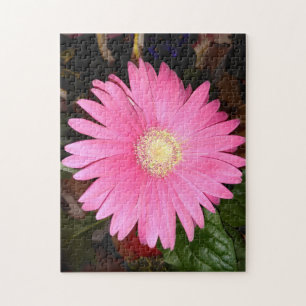 Rosa Gerbera Daisy Pussel