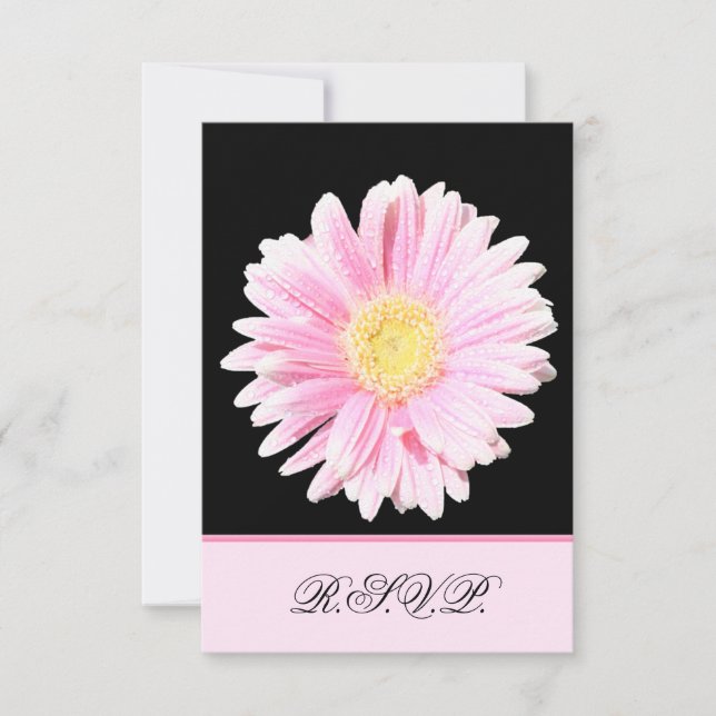 Rosa Gerbera Daisy Reply Card Inbjudningar (Framsida)