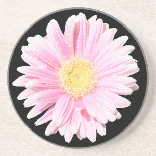 Rosa Gerbera Daisy Sandstone Underlägg Sandsten