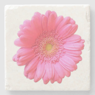 Rosa gerbera daisy stenunderlägg
