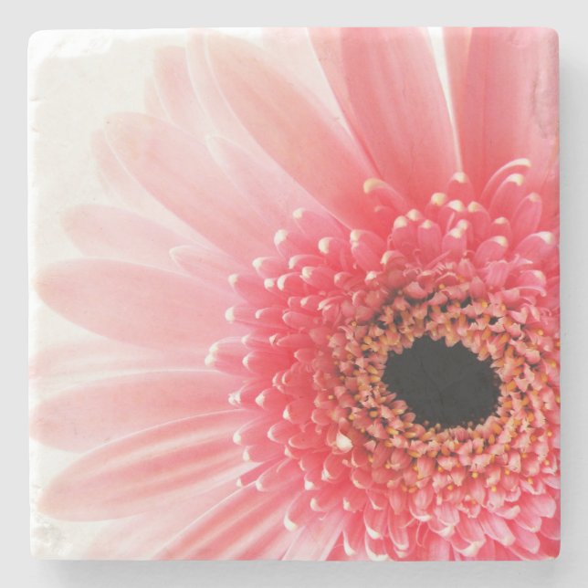 Rosa Gerbera Daisy Stenunderlägg (Framsidan)