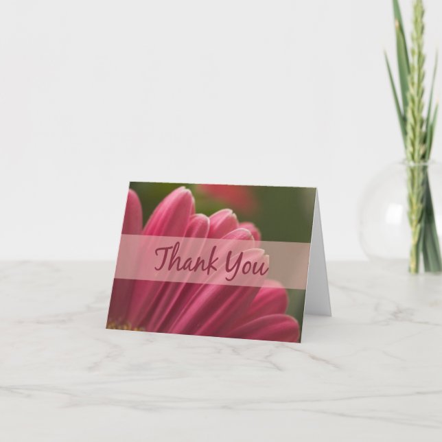 Rosa Gerbera Daisy Tack för dina kort (Framsida)