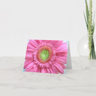 Rosa gerbera daisy tack kort