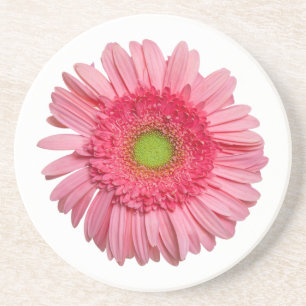 Rosa Gerbera Daisy Underlägg Sandsten