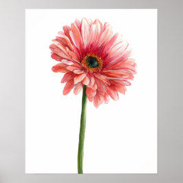 Rosa Gerbera Daisy Vattenfärg Trädgård Naturälskar Poster