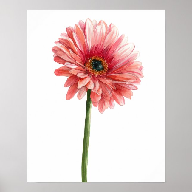 Rosa Gerbera Daisy Vattenfärg Trädgård Naturälskar Poster (Framsidan)