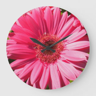 Rosa Gerbera Daisy Wall Clock Stor Klocka