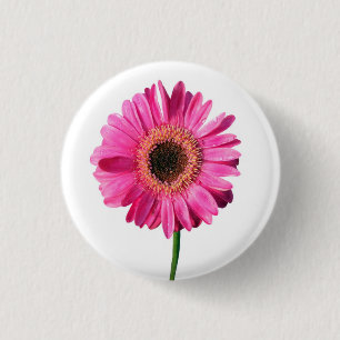 Rosa Gerbera Flower Button / Badge Knapp