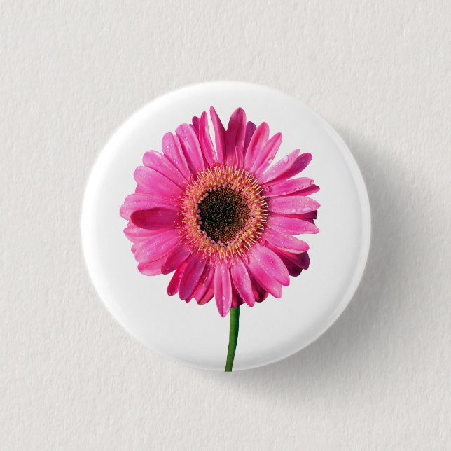 Rosa Gerbera Flower Button / Badge Knapp (Framsida)