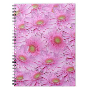 Rosa Gerbera Flower Clusters Anteckningsbok