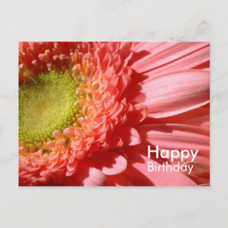 Rosa Gerbera - Grattis på födelsedagen Vykort