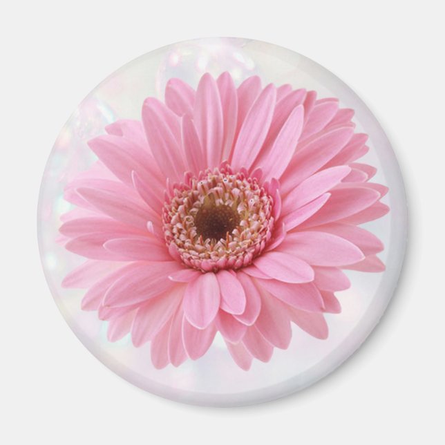 Rosa Gerbera-kylskåp Magnet (Framsidan)