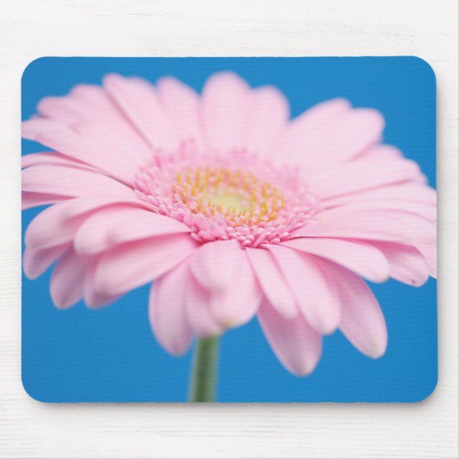 Rosa Gerbera Mousepad Musmatta (Framsidan)