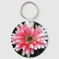 Rosa Gerbera