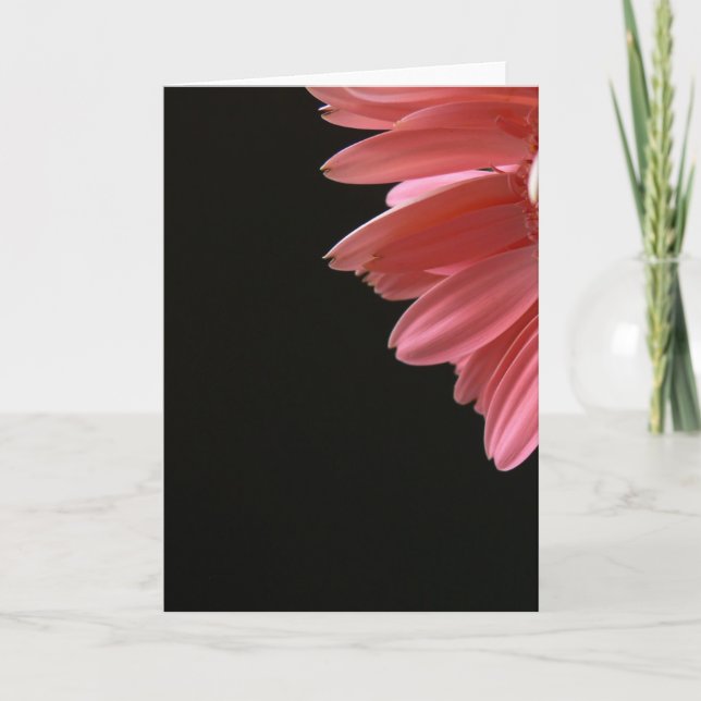 Rosa Gerbera på svart Kort (Framsida)