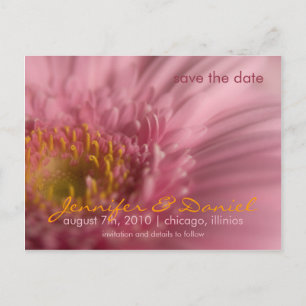Rosa Gerbera • Rädda datumet Postkort Meddelande Vykort