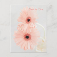 Rosa Gerbera Spara datum meddelande