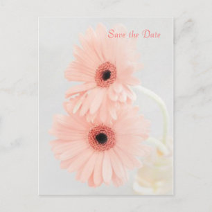 Rosa Gerbera Spara datum meddelande Vykort