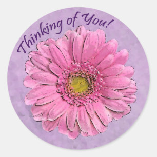 Rosa Gerbera Tankar på ditt klistermärke