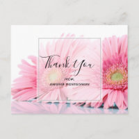 Rosa Gerbera-Tusenskönor Elegant Foto Tack