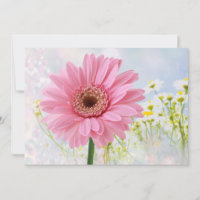 Rosa Gerbera tusenskönor för alla tillfällen Inbju