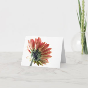 Rosa Gerberadaisy Notecard Kort