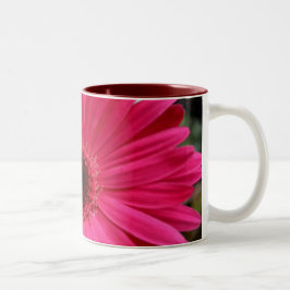 Rosa Gerberadaisymugg Två-Tonad Mugg