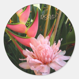 Rosa Ginger Heliconia Bröllop Kuvert Seals Runt Klistermärke
