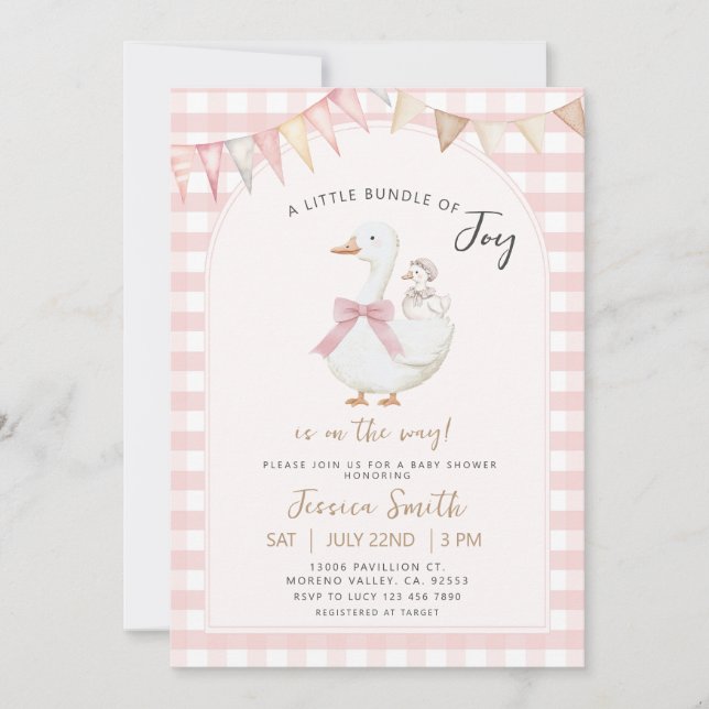 Rosa Gingham Bundle of joy Goose Baby Shower Inbjudningar (Framsida)