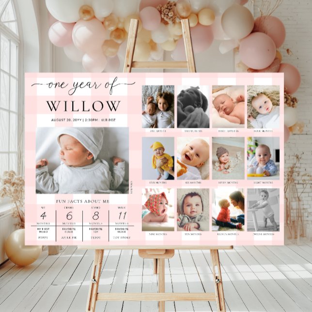 Rosa Gingham First Birthday Photo Milestone Poster (Skapare uppladdad)
