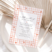 Rosa Gingham Girl Baby Shower